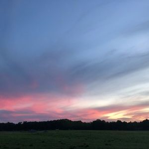 Meet your Posher, Sydney